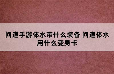 问道手游体水带什么装备 问道体水用什么变身卡